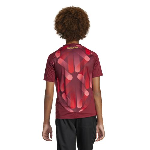 Preview: Deutschland Kinder Auswärts Trikot für die Frauen EM - 2025 Preview: Deutschland Kinder Auswärts Trikot für die Frauen EM - 2025